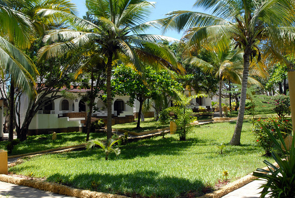 Giardino
