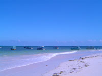 spiaggia-watamu.jpg